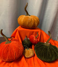 Cloth Pumpkins