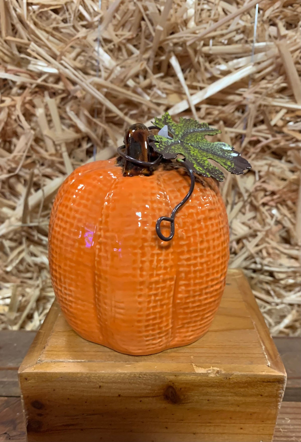 Small Ceramic Pumpkins