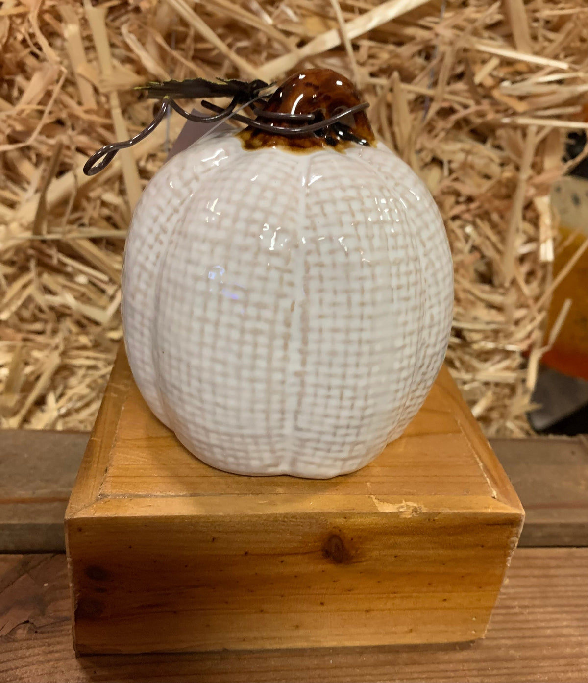 Small Ceramic Pumpkins