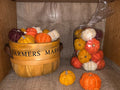 Dried Botanical Pumpkins