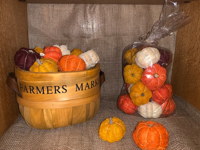 Dried Botanical Pumpkins