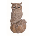 Owl on Pumpkin