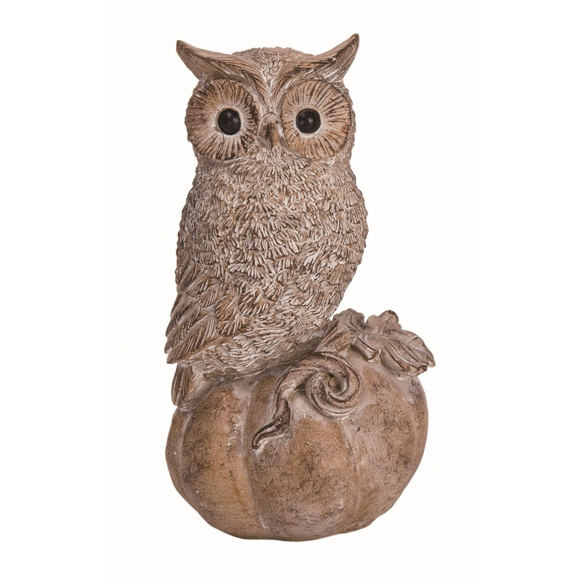 Owl on Pumpkin